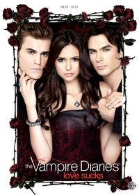 Buch Cover Vampire Diaries Posterkalender 2013