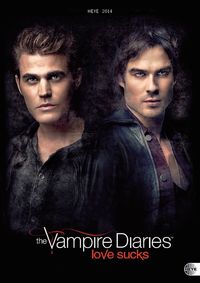 Buch Cover Vampire Diaries Posterkalender 2014