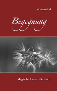 Buch Cover Begegnung