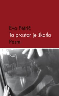 Buch Cover Ta prostor je škatla
