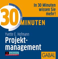 Buch Cover 30 Minuten Projektmanagement