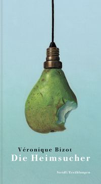 Buch Cover Die Heimsucher