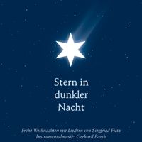 Buch Cover Stern in dunkler Nacht - Frohe Weihnachten mit Liedern von Siegfried Fietz