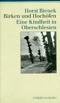 Buch Cover Birken und Hochöfen