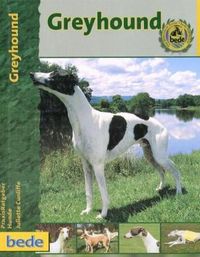 Buch Cover Praxisratgeber Greyhound