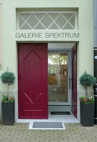 Buch Cover Galerie Spektrum