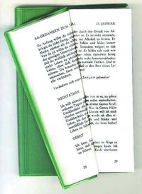 Buch Cover Vierundzwanzig Stunden am Tag - AA