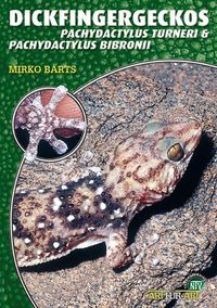 Buch Cover Dickfingergeckos
