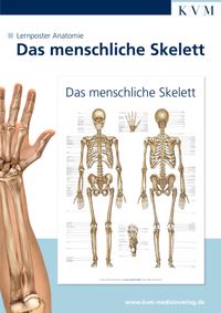 Buch Cover Lernposter Anatomie