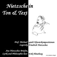 Buch Cover Nietzsche in Ton und Text