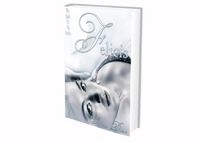 Buch Cover The Point Of No Return - Felices