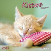 Buch Cover Kittens