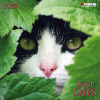 Buch Cover Cool Cats