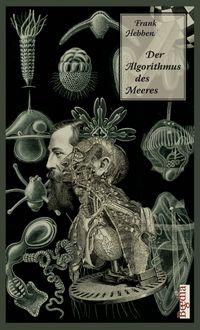 Buch Cover Der Algorithmus des Meeres