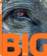 Buch Cover BIG