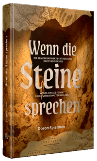 Buch Cover Wenn die Steine sprechen