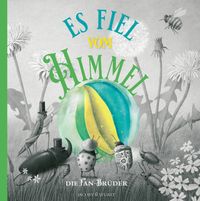 Buch Cover Es fiel vom Himmel