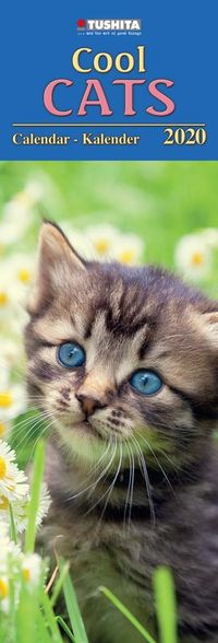 Buch Cover Cool Cats 2020