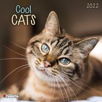 Buch Cover Cool Cats 2022