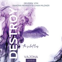 Buch Cover DESTROY the silent lies (DESTROY-Reihe 2)