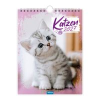 Buch Cover TRÖTSCH - Notizkalender zum Hängen Katzen 2027