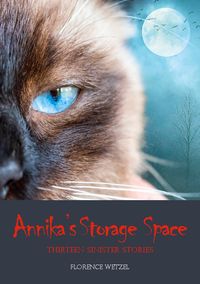 Buch Cover Annika's Storage Space