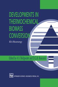 Buch Cover Developments in Thermochemical Biomass Conversion