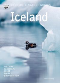 Buch Cover Iceland