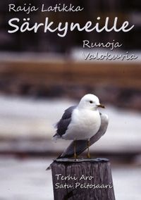 Buch Cover Särkyneille