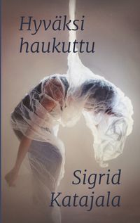 Buch Cover Hyväksi haukuttu