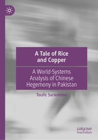 Buch Cover A Tale of Rice and Copper