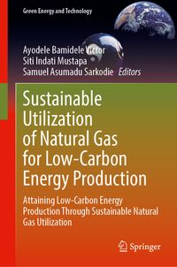 Buch Cover Sustainable Utilization of Natural Gas for Low-Carbon Energy Production